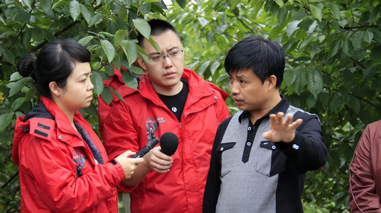 “反教條主義運動與劉伯承遭批判始末”